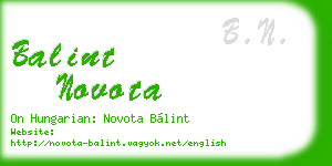 balint novota business card